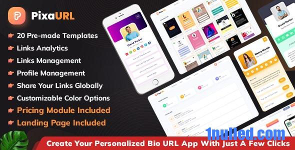 PixaURL v2.2 Nulled - Запустите собственную SaaS-платформу для создания URL-адресов биографии, мини-сайтов и цифровых карточек